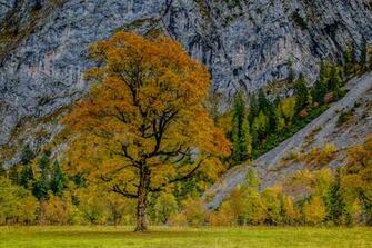 Wallpaper Karwendel Austria Alps Autumn