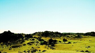 Grassland Landscape Wallpaper Desktop Background Scenery