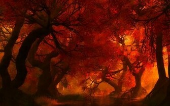 Forest Fire Wallpaper Walltor