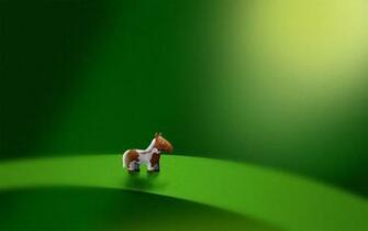 Cool Horse Background