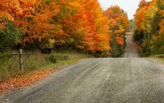 Nature Autumn Trees Landscape HD Wallpaper