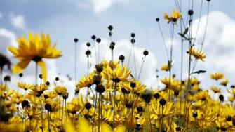 HD Widescreen Wallpaper Right Click The Select Set As