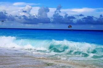 Actividades En Playa Del Carmen Quintana Roo Playas De
