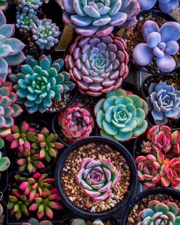 Look At All These Beautiful Colors It S So Inspiring And Makes Me