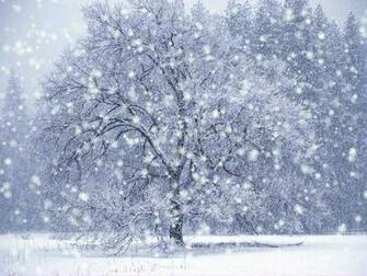 Dx Winter Snow Screensaver Softpedia