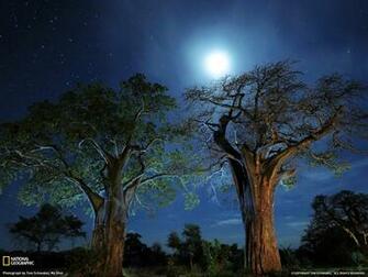 Photo Tanzania Wallpaper National Geographic Of The Day