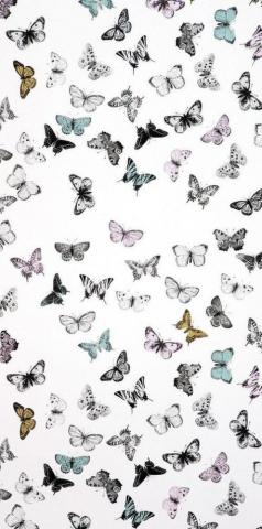 Wallpaper Butterfly And Background Image Sparkle