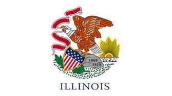 Photos Eagles Usa Illinois Flag
