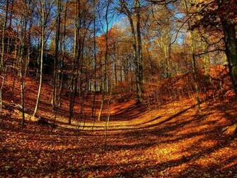 Autumn Wallpaper Pictures Image