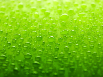Green Wallpaper Colors