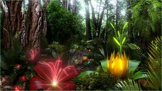 Tropical Forest By Noctis07