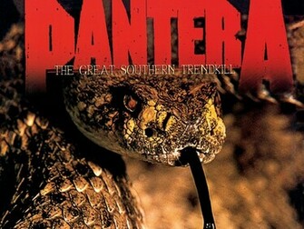 Pantera Computer Wallpaper Desktop Background Id