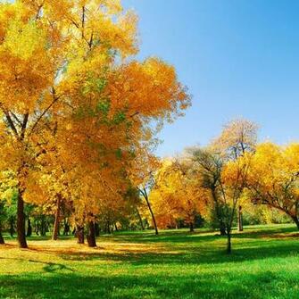 iPad Wallpaper Nature Air Background