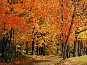 Illinois Country HD Wallpaper