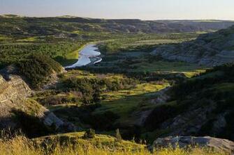 Mather Nature Roosevelt Parks Grasslands HD Wallpaper
