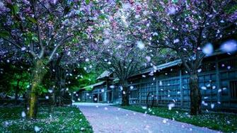 Mississauga Kariya Park Canada Wide HD Paisajes