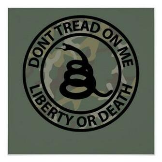 [48+] Don T Tread On Me Wallpaper on WallpaperSafari