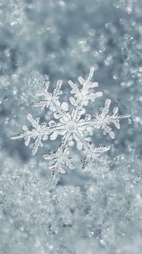 Ice Snowflake iPhone Plus Wallpaper Winter