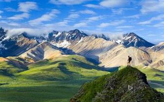 Denali National Park Wallpaper HD