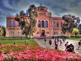 Reasons I Chose Ucla Anderson The Mba Student Voice
