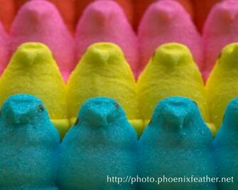 Peeps Easter Wallpaper Phoenixfeather Photos