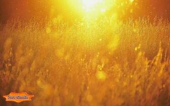 Wallpaper For Windows Get Animated Live Android Nature