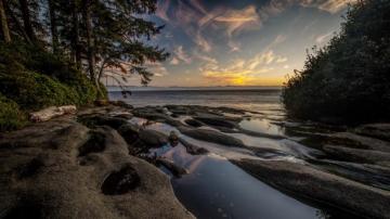 Wallpaper Canada Vancouver Island Fog Sea Coast Trees
