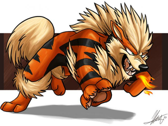 Arcanine By Aerosocks