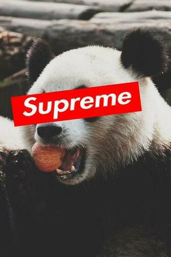 Best Supreme Wallpaper Image iPhone