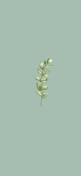 Sage Green Aesthetic Wallpaper