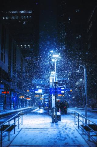 Snow City Pictures Image
