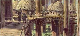 Gallery For Gt Ewok Star Wars Wallpaper
