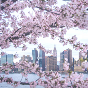 Noel Y Calingasan Nyc On The Best Time For New