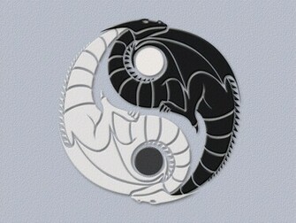 Dragons Yin Yang HD Wallpaper Wild Animal Reptiles