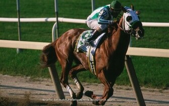Beautiful Wallpaper Racing Horse