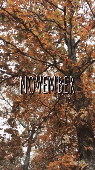 Best Fall Wallpaper Background For iPhone Ideas In