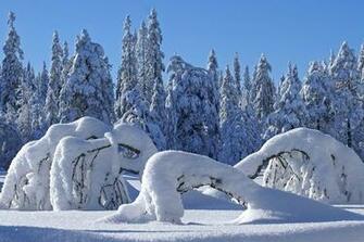Winter Wallpaper For Desktop Beautiful Your