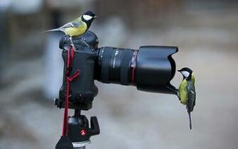 Modern Camera The Wallpaper HD