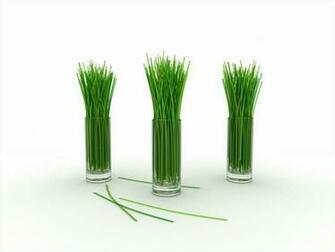 Lemon Grass Wallpaper Stock Photos