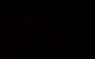 Solid Black Wallpaper On