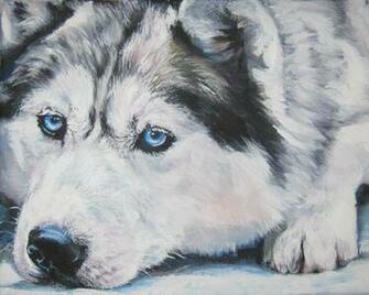 Related For Cute Siberian Husky Puppy Wallpaper