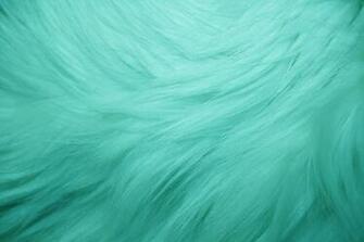 Teal Fur Texture High Resolution Photo Dimensions