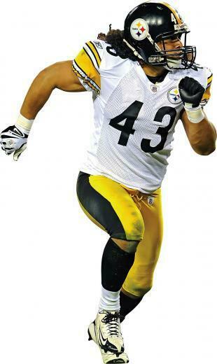 Steelers Wallpaper Blackberry Storm