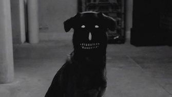 Earl Sweatshirt Chum Video Versheid