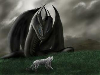 Tiger Vs Dragon Wallpaper White By