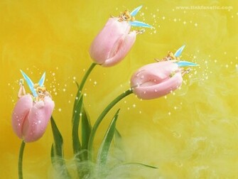 Deanne Morrison Tinkerbell Background
