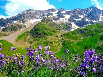 Mountain Summer One HD Wallpaper Pictures Background