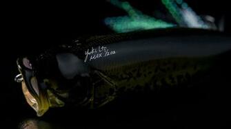 Megabass Popmax Topwater Popper Roll Walk Pop