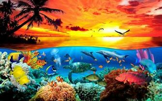 Under The Sea Hq Wallpaper