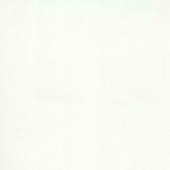 Off White Background Photo